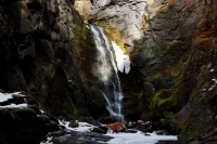 Tulip Creek Falls